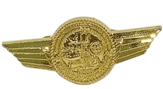 Prof. Chaplain Pin