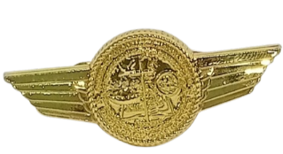 Prof. Chaplain Pin